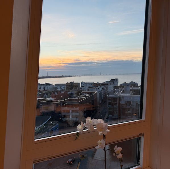 Växthuset Turning Torso  - Bild 2